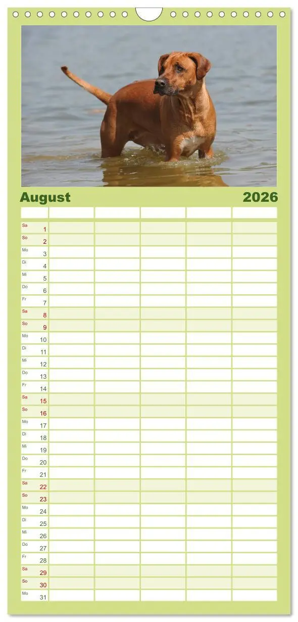 Bild: 9783516519143 | Familienplaner 2026 - Rhodesian Ridgeback 2026 mit 5 Spalten...
