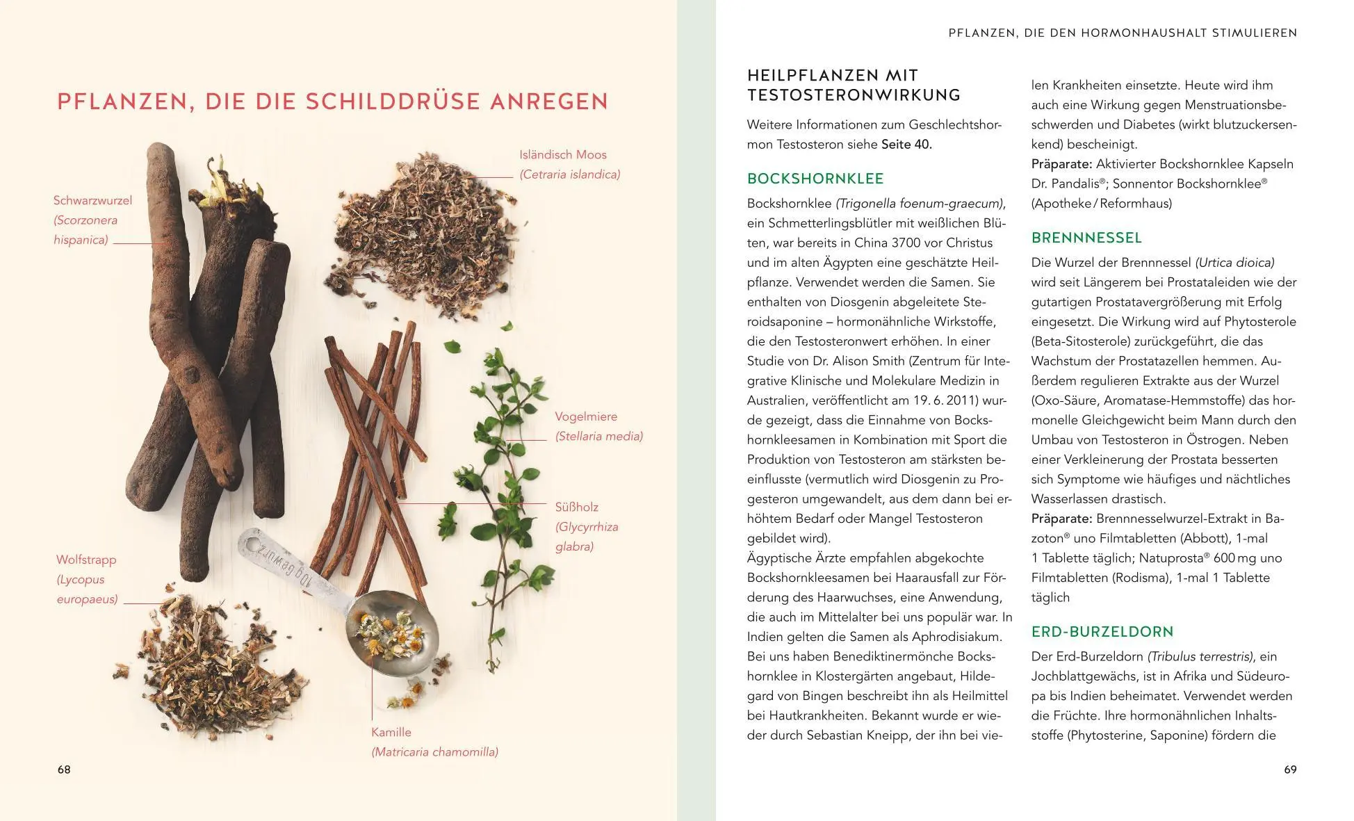 Bild: 9783833869143 | Hormone natürlich regulieren | Günther H. Heepen | Taschenbuch | 2019