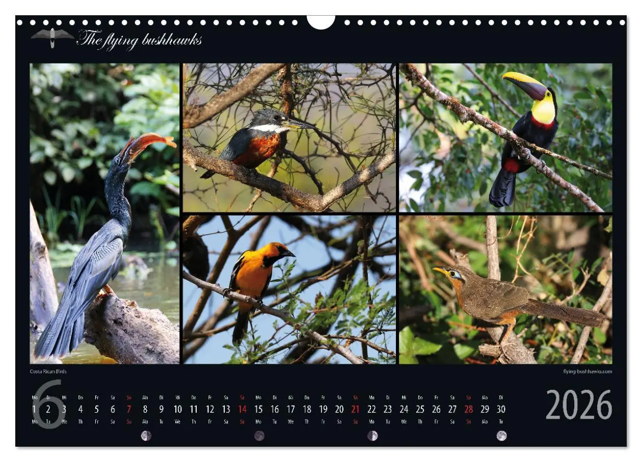 Bild: 9783457279243 | Costa Rica Blickwinkel 2026 (Wandkalender 2026 DIN A3 quer),...