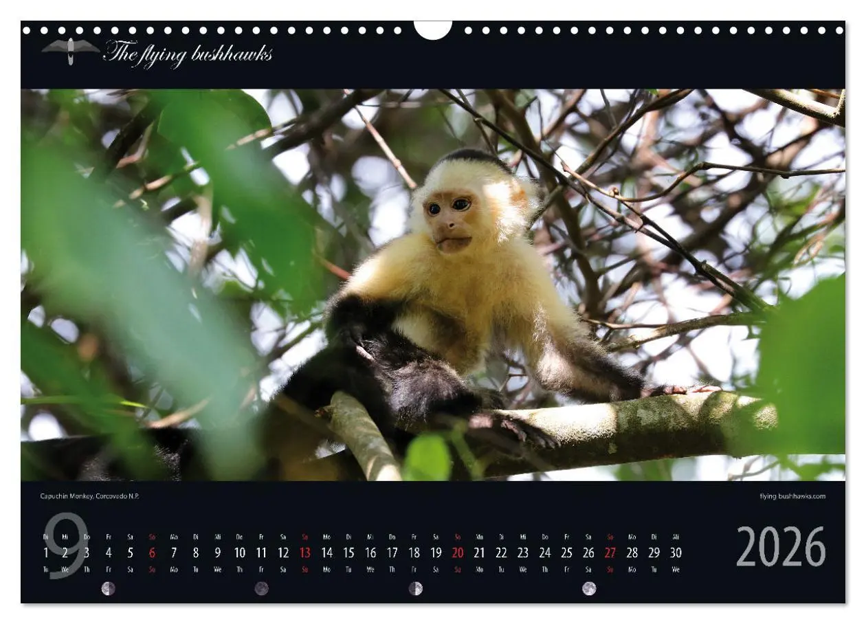 Bild: 9783457279243 | Costa Rica Blickwinkel 2026 (Wandkalender 2026 DIN A3 quer),...
