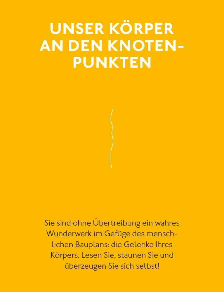Bild: 9783747109243 | Fitte und starke Gelenke | Wolfgang Schillings | Taschenbuch | 176 S.