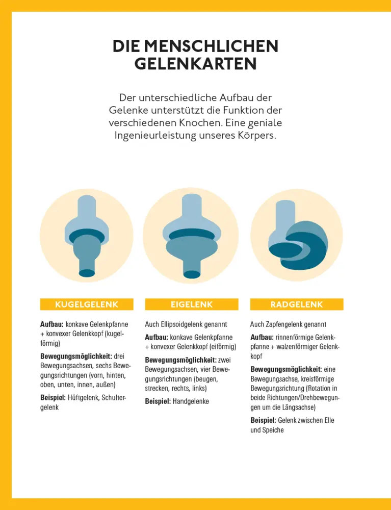 Bild: 9783747109243 | Fitte und starke Gelenke | Wolfgang Schillings | Taschenbuch | 176 S.