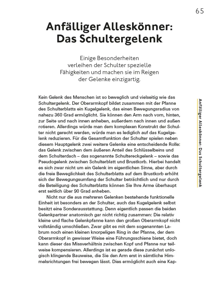 Bild: 9783747109243 | Fitte und starke Gelenke | Wolfgang Schillings | Taschenbuch | 176 S.