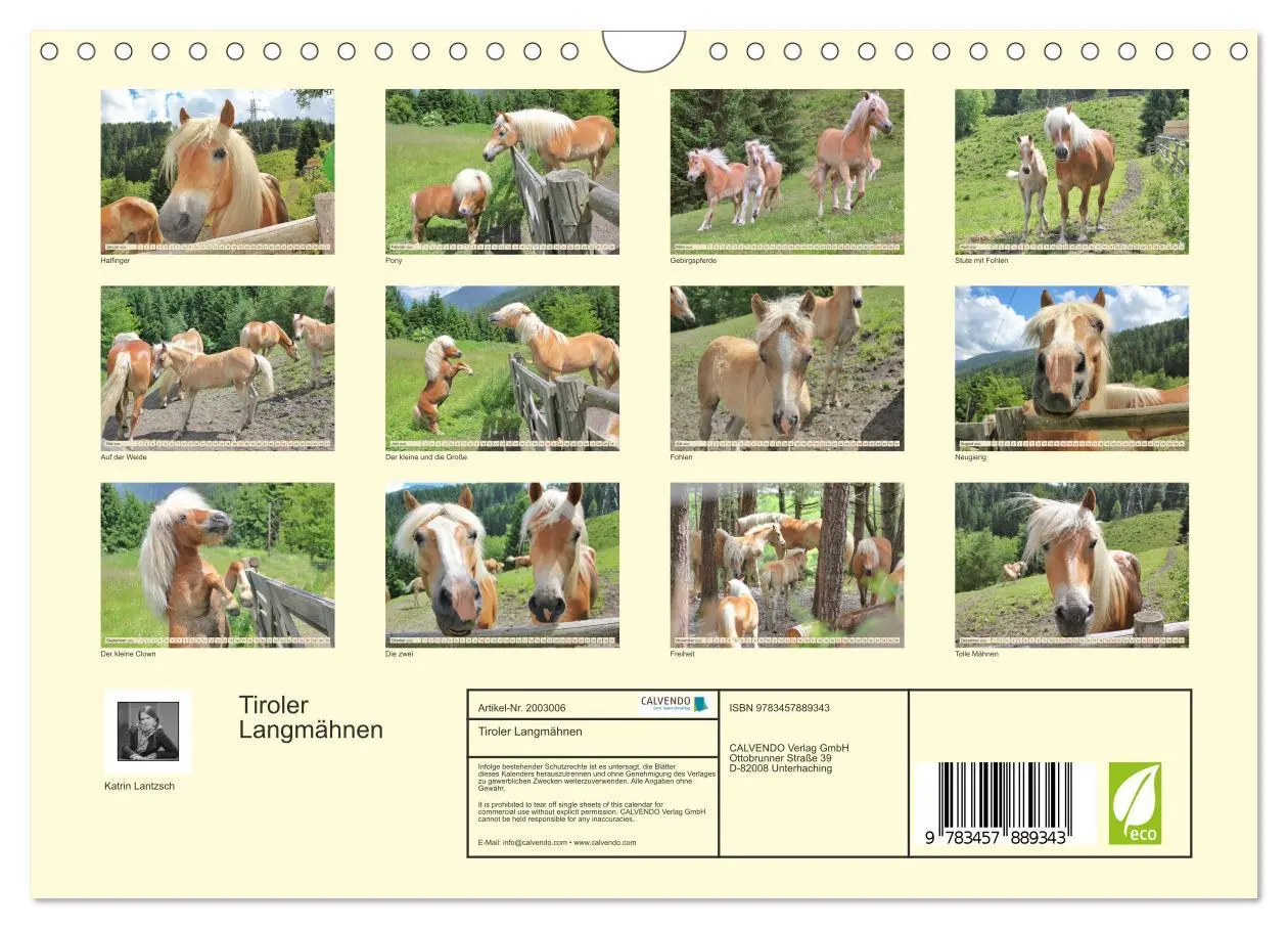 Bild: 9783457889343 | Tiroler Langmähnen (Wandkalender 2026 DIN A4 quer), CALVENDO...