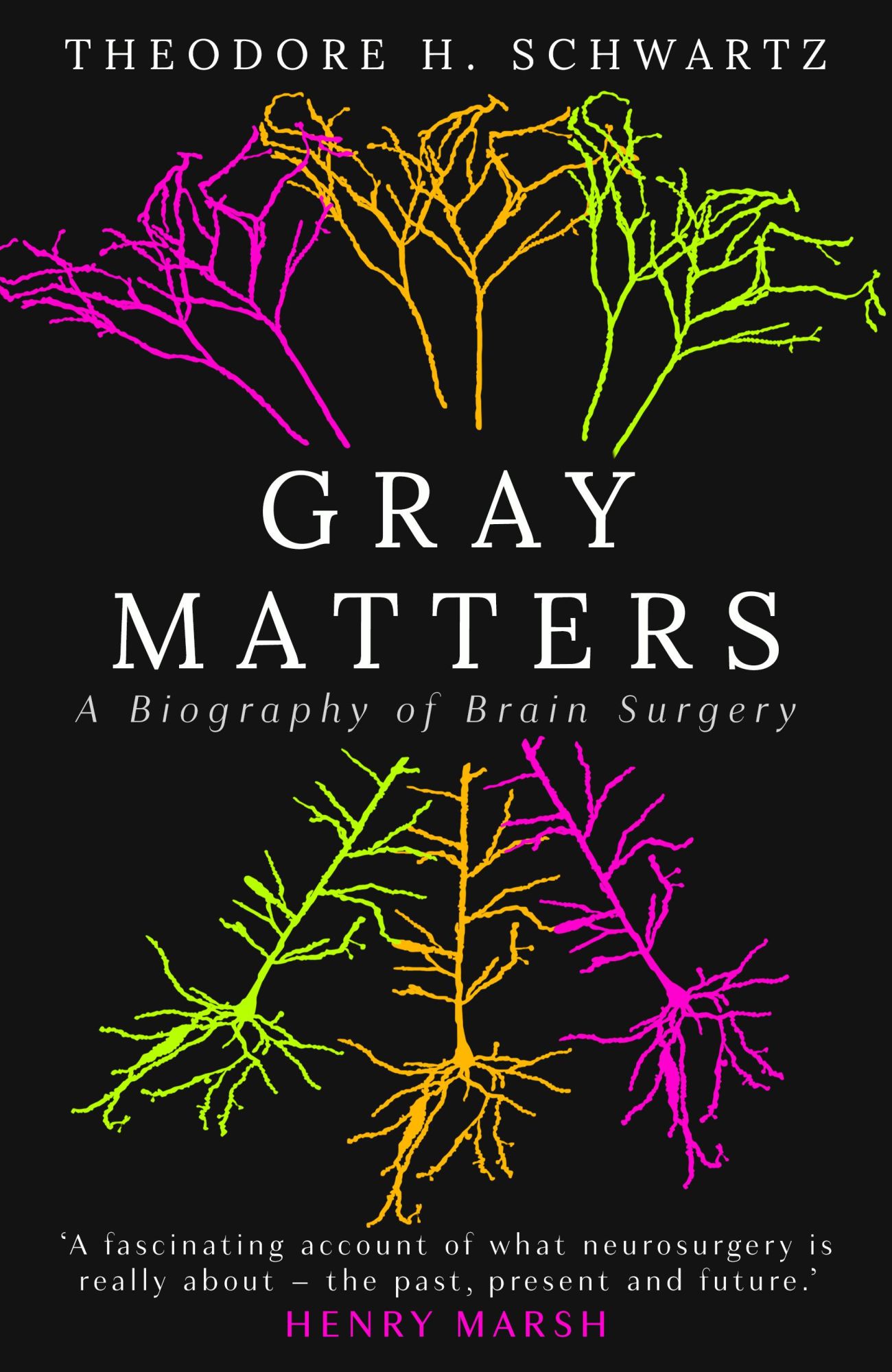Cover: 9780861549443 | Gray Matters | A Biography of Brain Surgery | Theodore Schwartz | Buch