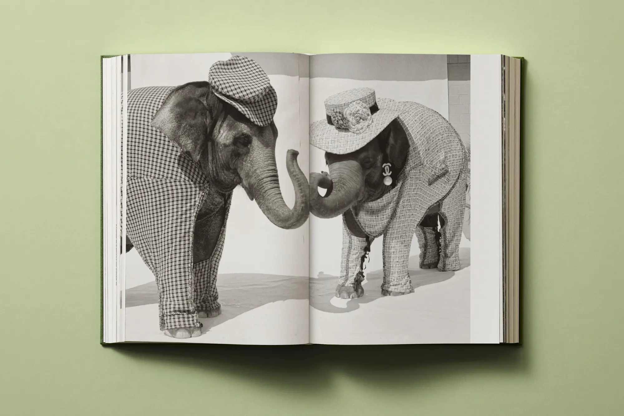 Bild: 9783836599443 | Bruce Weber. My Education | Bruce Weber | Buch | 564 S. | Deutsch