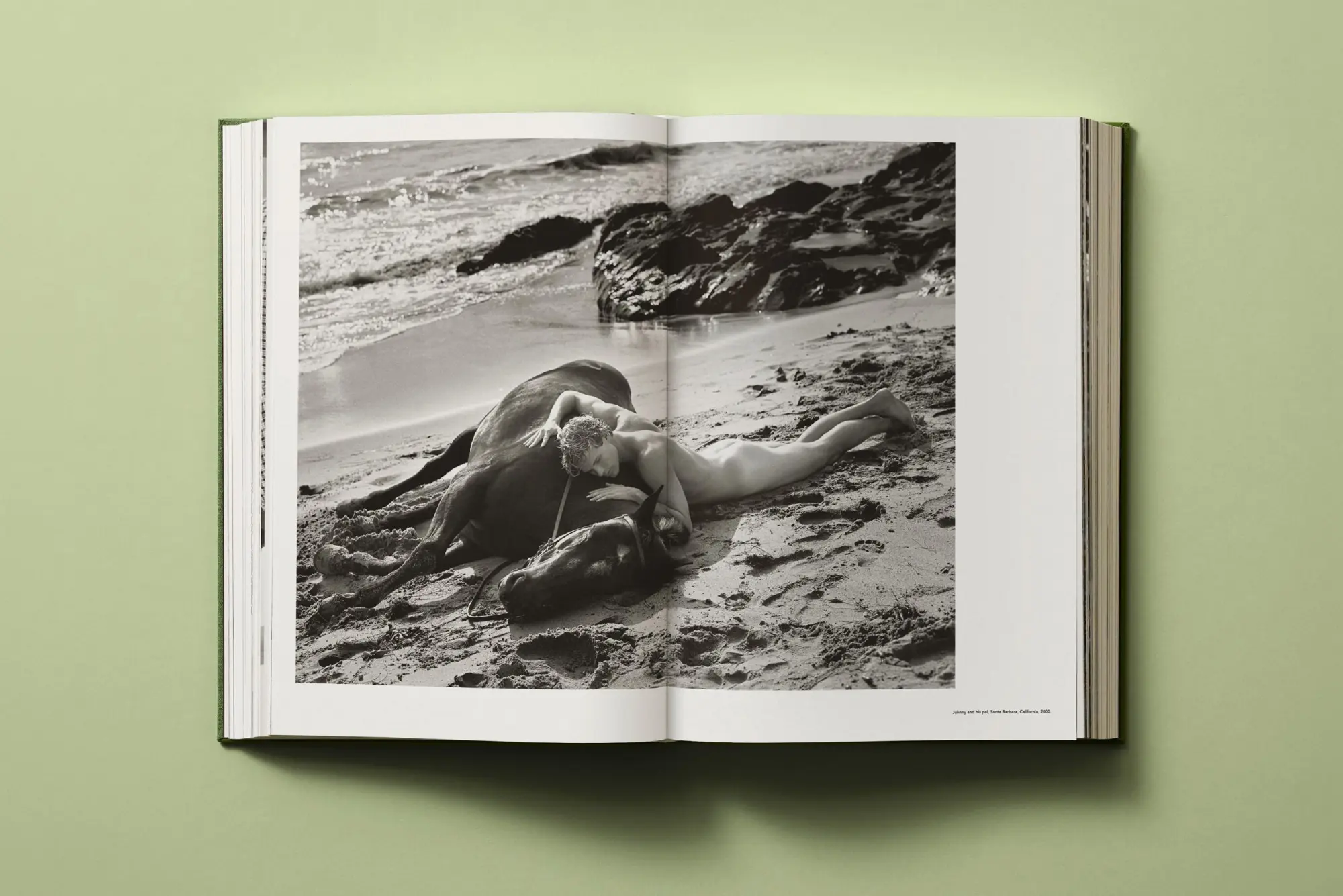 Bild: 9783836599443 | Bruce Weber. My Education | Bruce Weber | Buch | 564 S. | Deutsch