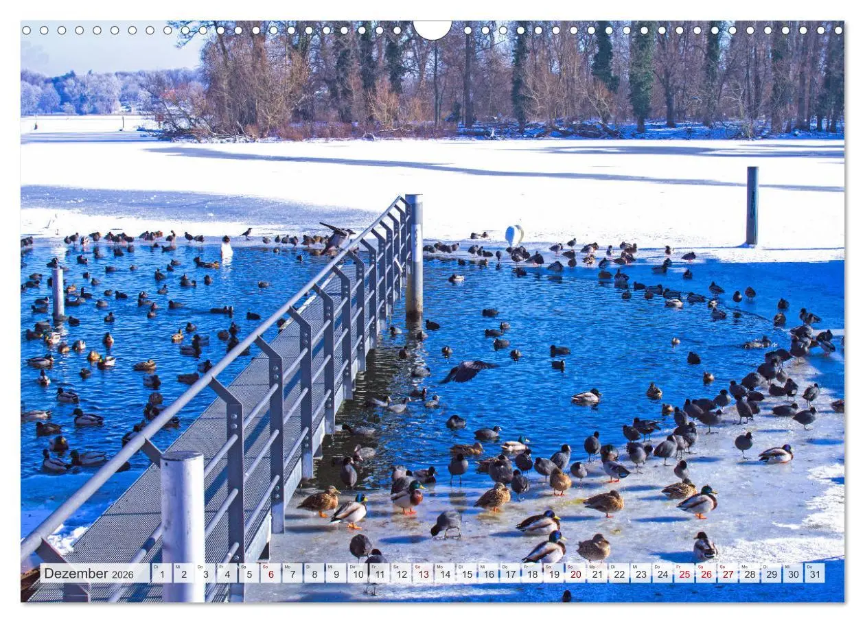 Bild: 9783457559543 | Masuren - Polens Seen-Paradies (Wandkalender 2026 DIN A3 quer),...