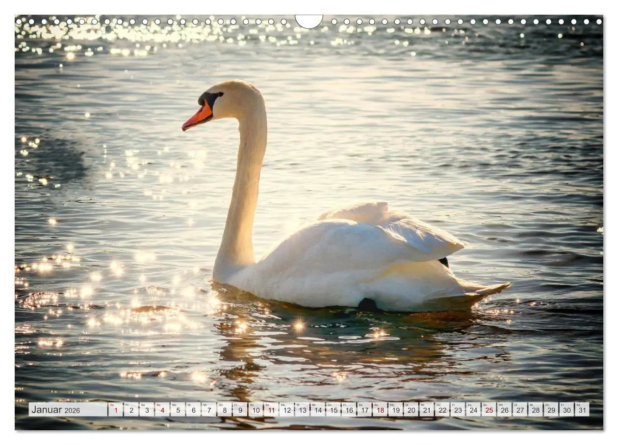 Bild: 9783457559543 | Masuren - Polens Seen-Paradies (Wandkalender 2026 DIN A3 quer),...
