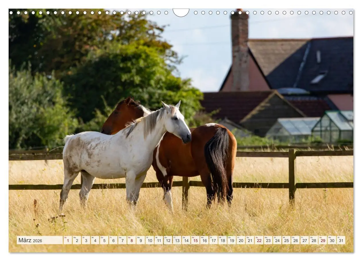 Bild: 9783457559543 | Masuren - Polens Seen-Paradies (Wandkalender 2026 DIN A3 quer),...