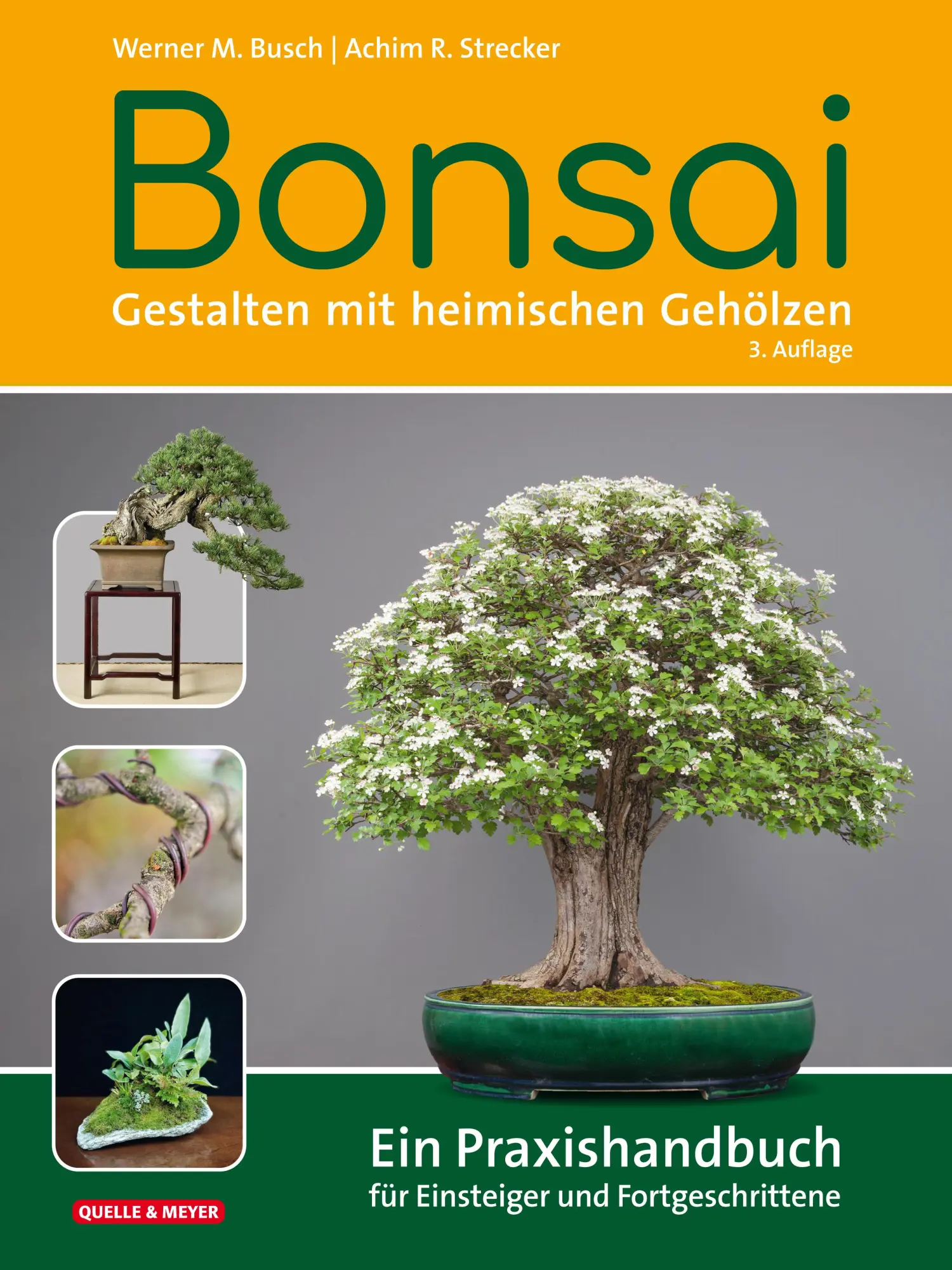 Cover: 9783494019543 | Bonsai - Gestalten mit heimischen Gehölzen | Werner M. Busch (u. a.)