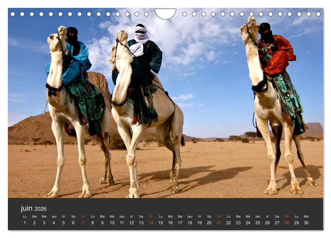 Bild: 9783516579543 | LE SAHARA L'Algérie du Sud (Calendrier mural 2026 DIN A4 vertical),...