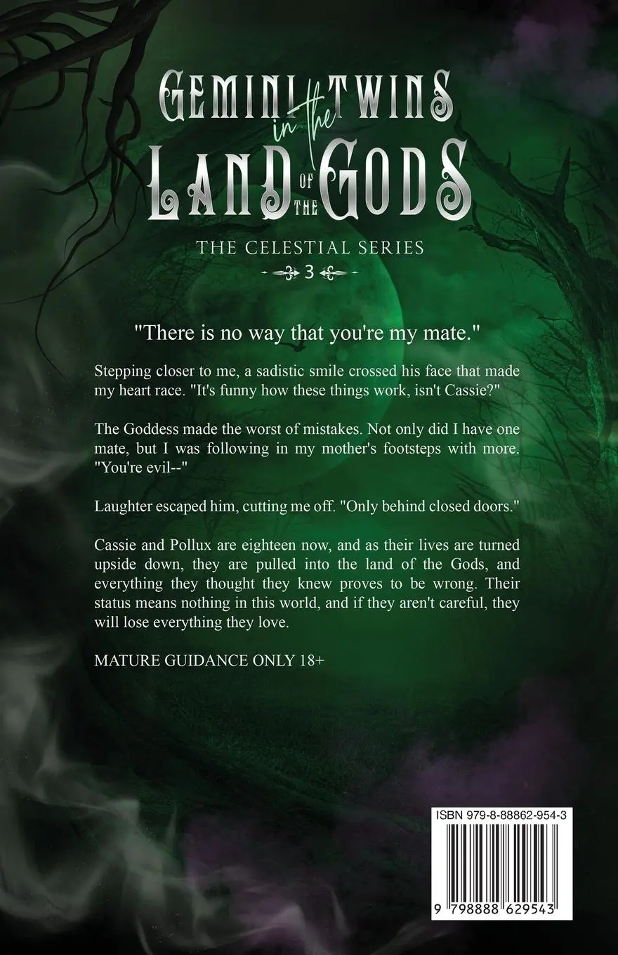 Rückseite: 9798888629543 | Gemini Twins in the Land of the Gods | Lillith Carrie | Taschenbuch