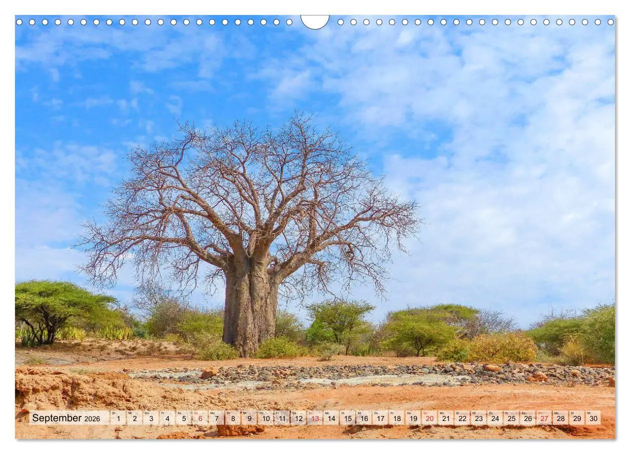 Bild: 9783457929643 | Tansania. Impressionen aus Ostafrika (Wandkalender 2026 DIN A3...