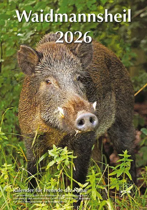 Cover: 9783871819643 | Waidmannsheil 2026 | Kalender frür Freunde der Natur | DRW-Verlag