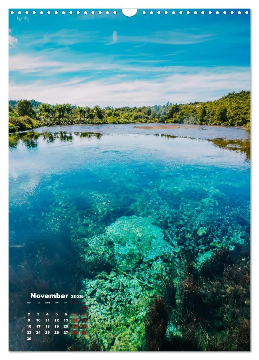 Bild: 9783516559743 | Discover New Zealand (Wall Calendar 2026 DIN A3 portrait), CALVENDO...