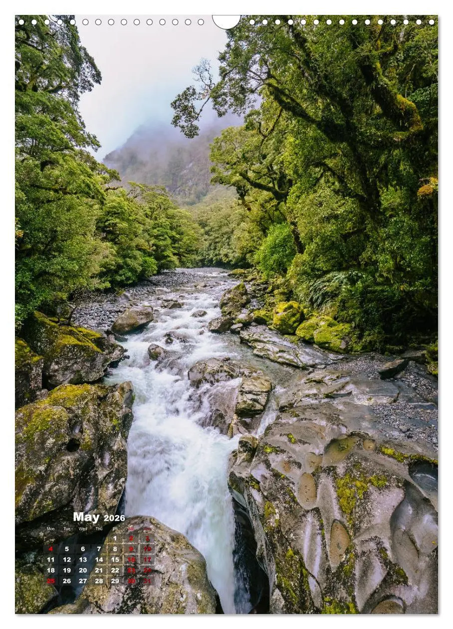 Bild: 9783516559743 | Discover New Zealand (Wall Calendar 2026 DIN A3 portrait), CALVENDO...