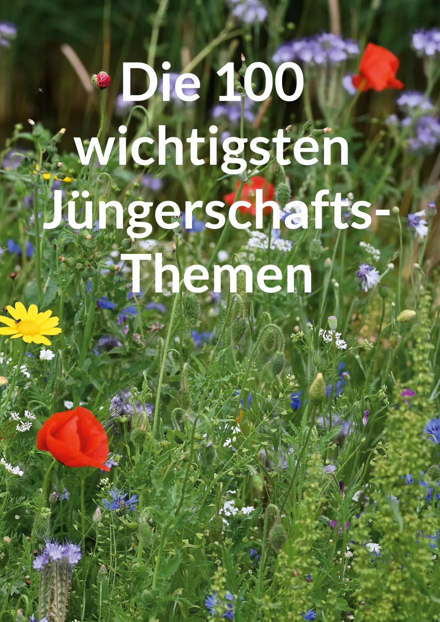Cover: 9783759729743 | Die 100 wichtigsten Jüngerschaftsthemen | Kay Faßbender | Taschenbuch