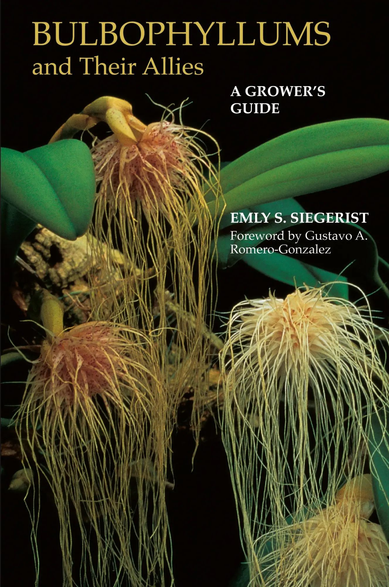 Cover: 9780881929843 | Bulbophyllums and Their Allies | Emly A. Siegerist | Taschenbuch