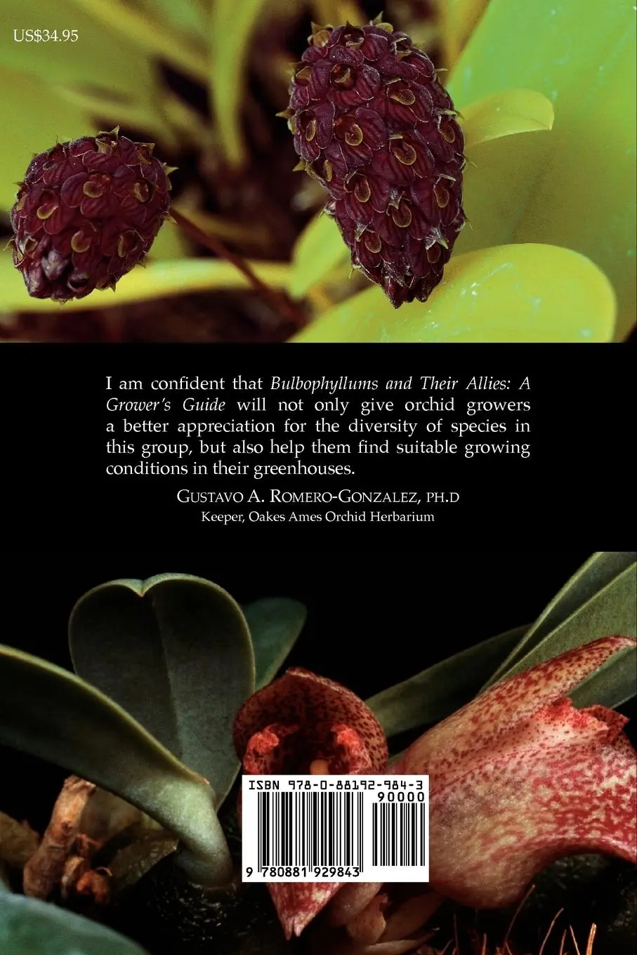 Rückseite: 9780881929843 | Bulbophyllums and Their Allies | Emly A. Siegerist | Taschenbuch