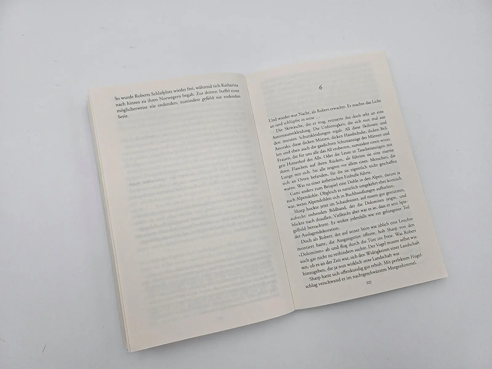 Bild: 9783492319843 | Der betrunkene Berg | Heinrich Steinfest | Taschenbuch | 224 S. | 2024