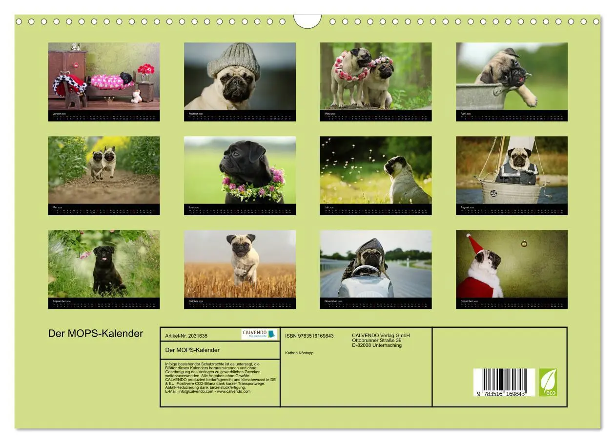 Bild: 9783516169843 | Der MOPS-Kalender (Wandkalender 2026 DIN A3 quer), CALVENDO...