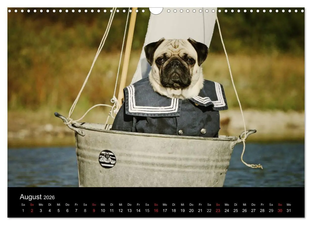 Bild: 9783516169843 | Der MOPS-Kalender (Wandkalender 2026 DIN A3 quer), CALVENDO...