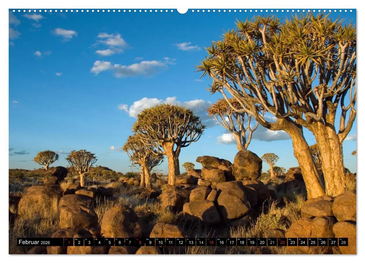 Bild: 9783516239843 | Faszination Namibia (Wandkalender 2026 DIN A2 quer), CALVENDO...