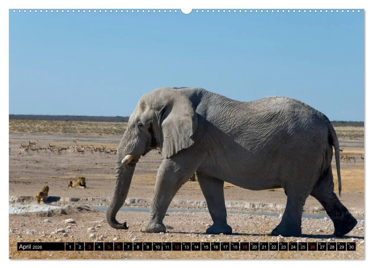 Bild: 9783516239843 | Faszination Namibia (Wandkalender 2026 DIN A2 quer), CALVENDO...