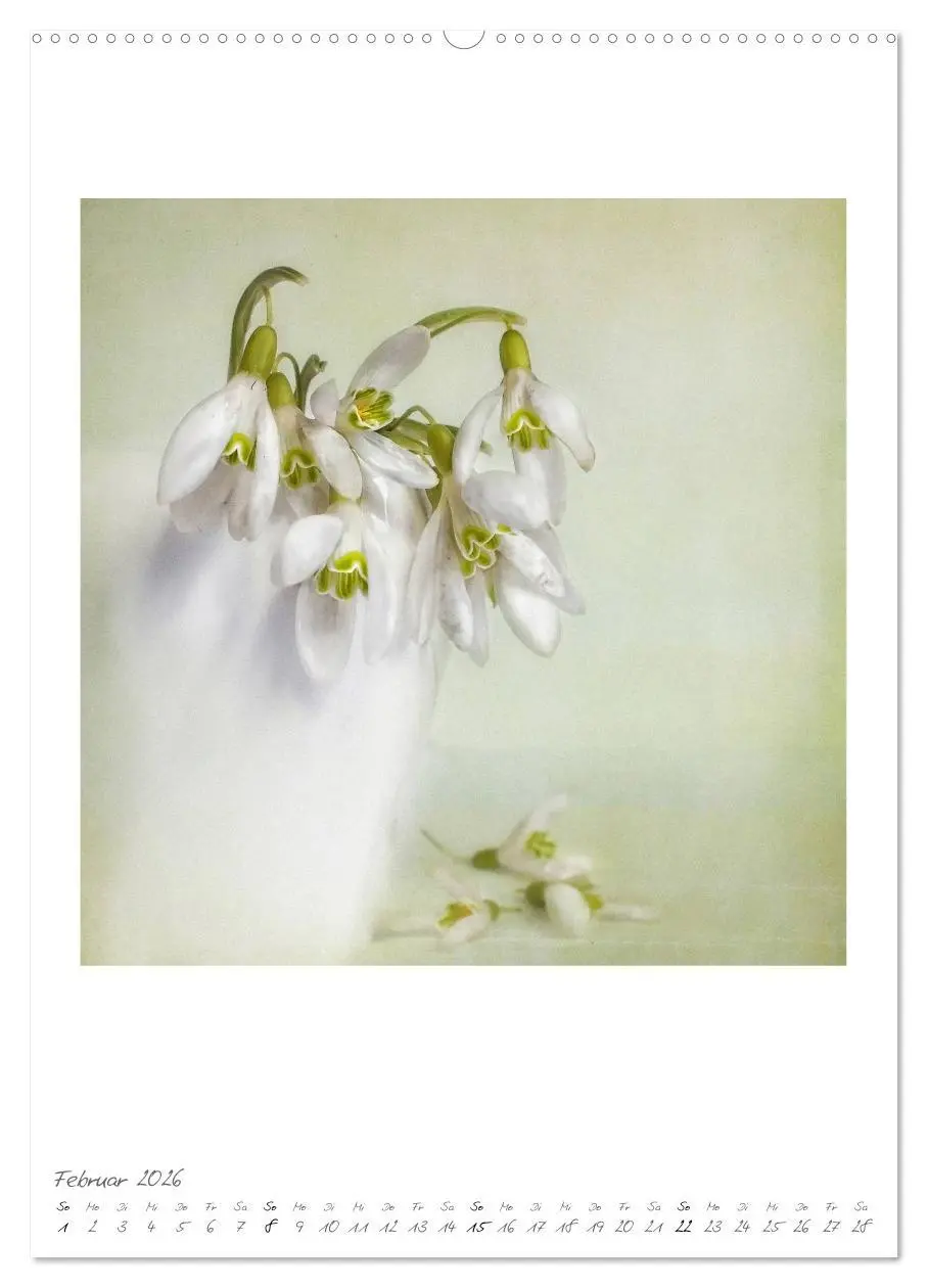 Bild: 9783516479843 | Flower Dreams (Wandkalender 2026 DIN A2 hoch), CALVENDO Monatskalender
