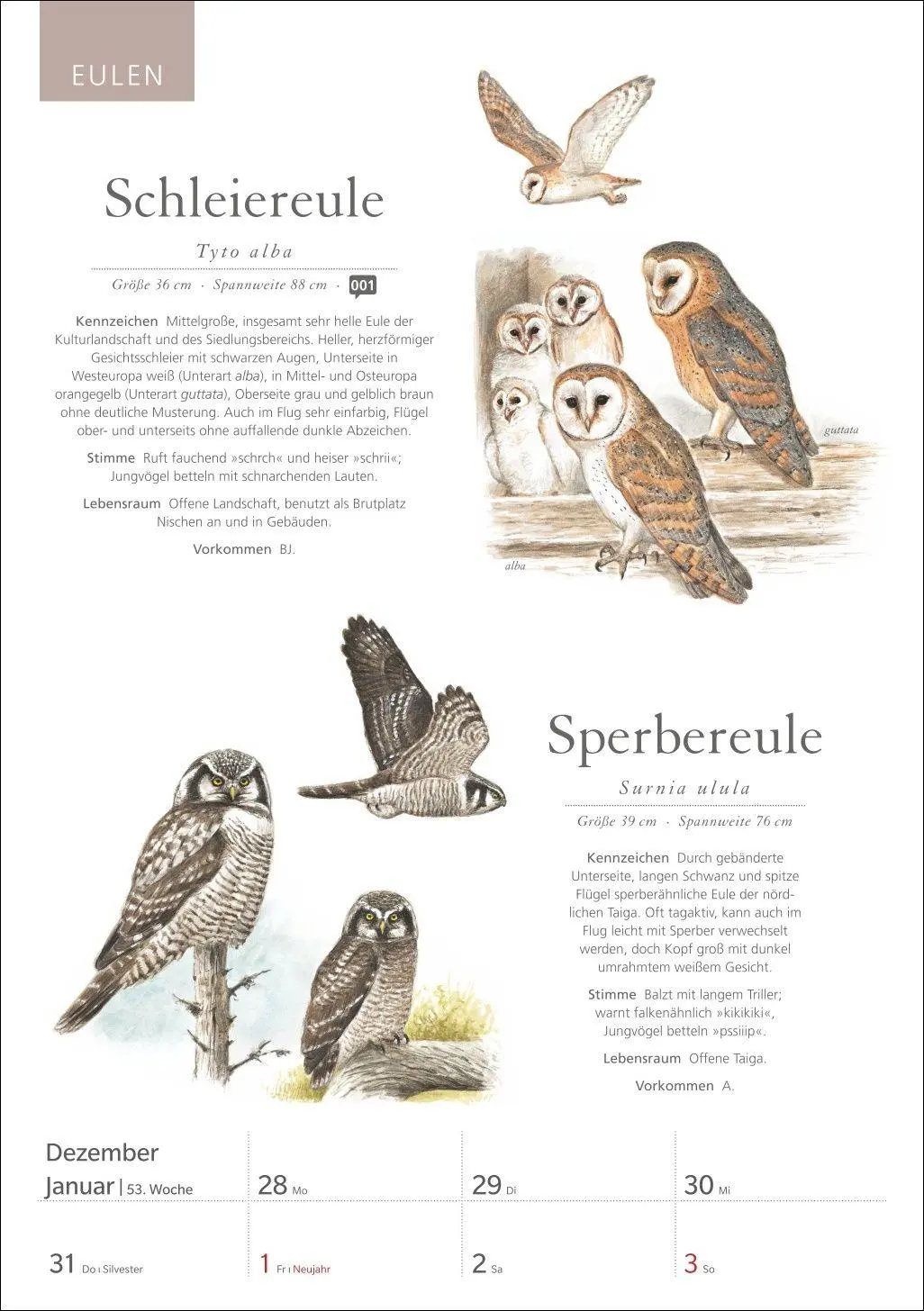 Bild: 9783840039843 | KOSMOS Was fliegt denn da? Wochenplaner 2027 - Der Kalender zum...