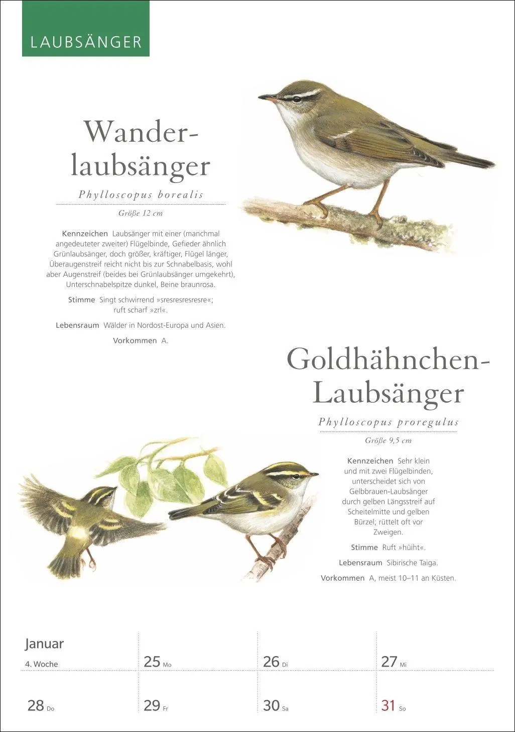 Bild: 9783840039843 | KOSMOS Was fliegt denn da? Wochenplaner 2027 - Der Kalender zum...