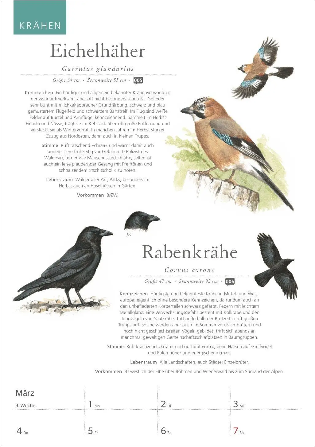 Bild: 9783840039843 | KOSMOS Was fliegt denn da? Wochenplaner 2027 - Der Kalender zum...