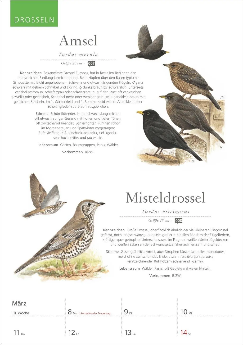 Bild: 9783840039843 | KOSMOS Was fliegt denn da? Wochenplaner 2027 - Der Kalender zum...