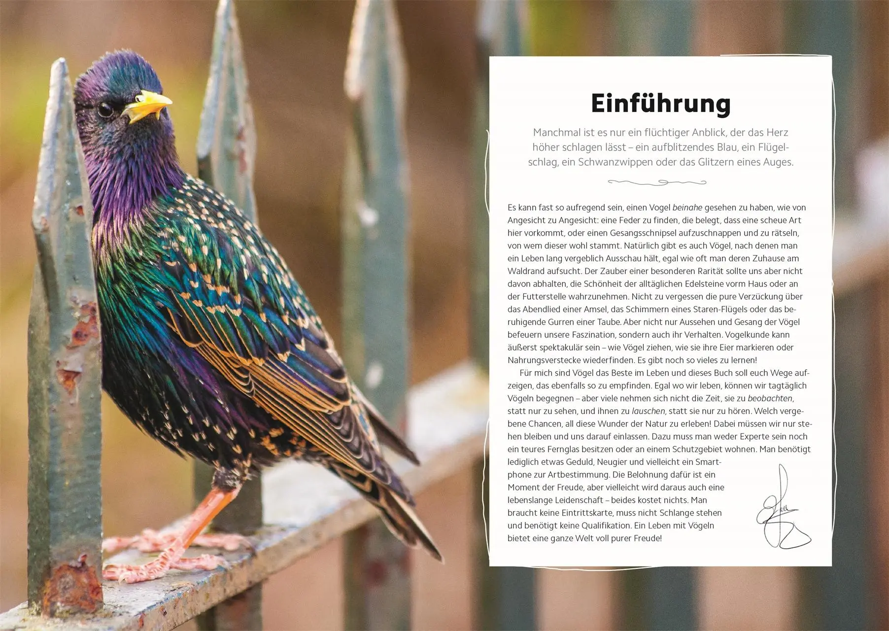 Bild: 9783831049943 | Vögel beobachten und ihre Lebensräume kennenlernen | Packham (u. a.)