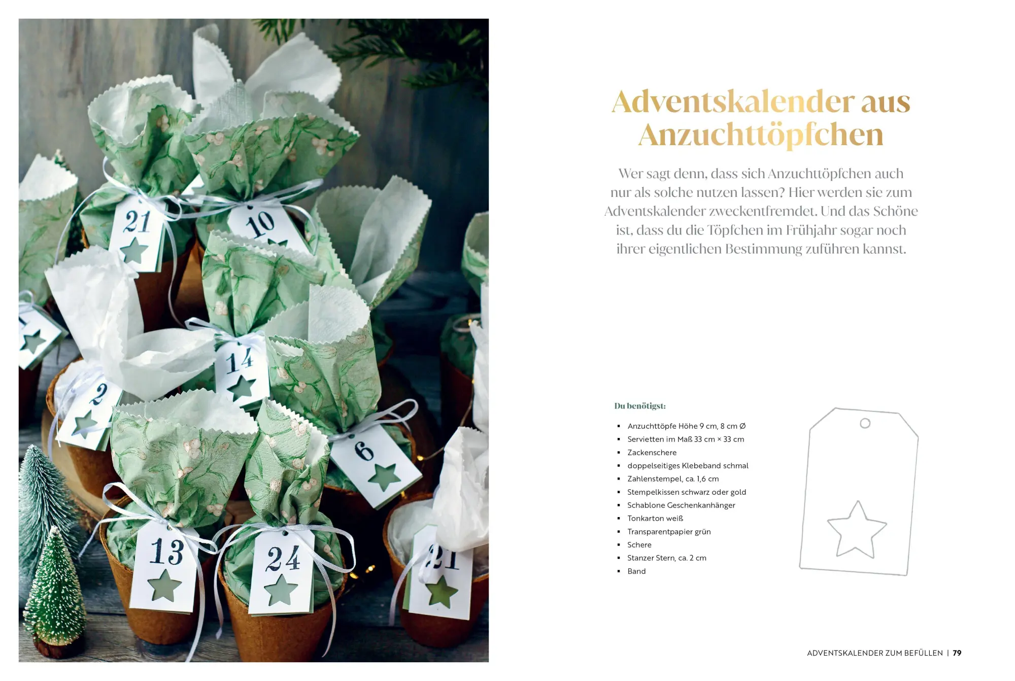 Bild: 9783838839943 | Kreative Vorfreude: Adventskalender und Kränze für eine besinnliche...