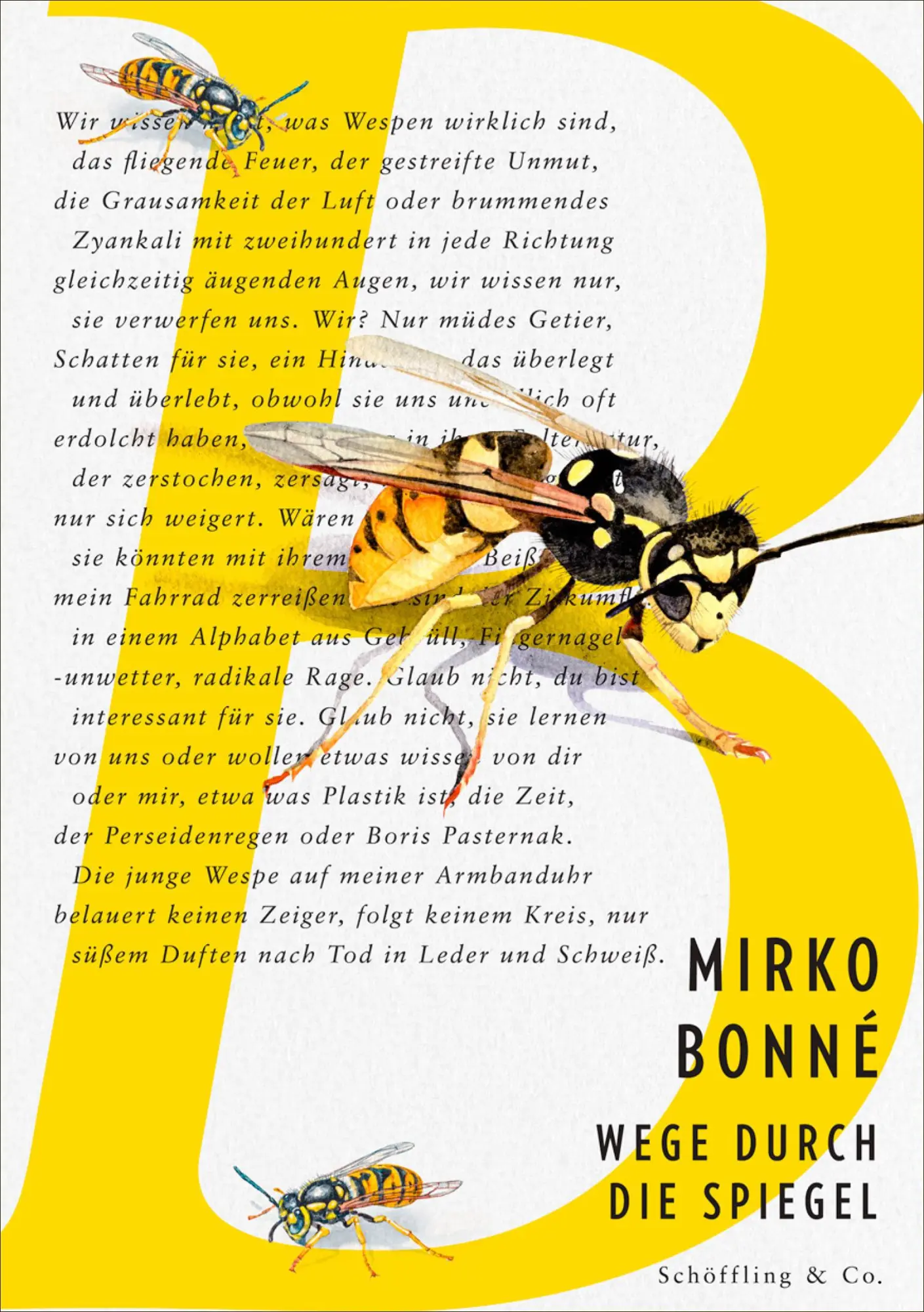 Cover: 9783690970044 | Wege durch die Spiegel | Gedichte | Mirko Bonné | Buch | 96 S. | 2025