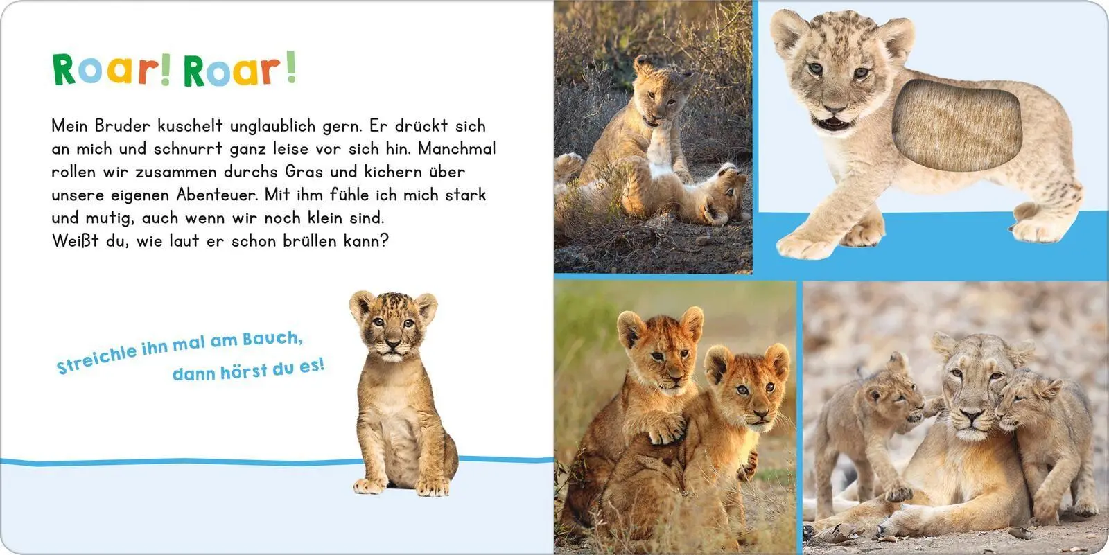 Bild: 9783845870144 | Hör mal rein, wer kann das sein? Mein Bruder | Streicheln und hören