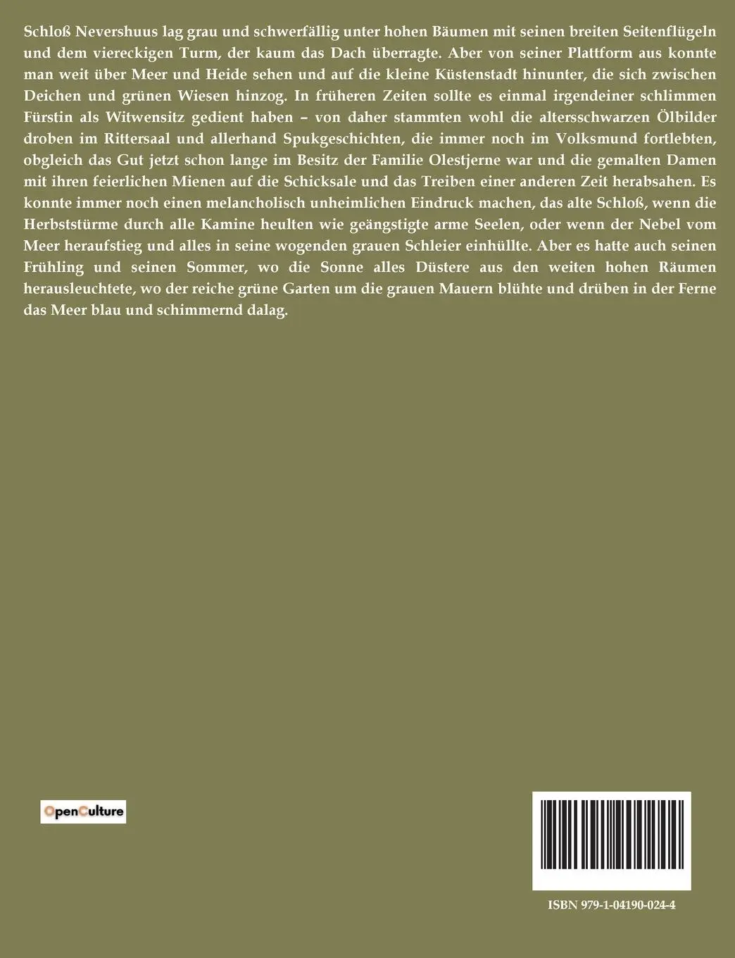 Rückseite: 9791041900244 | Ellen Olestjerne | Franziska Zu Reventlow | Taschenbuch | 166 S.