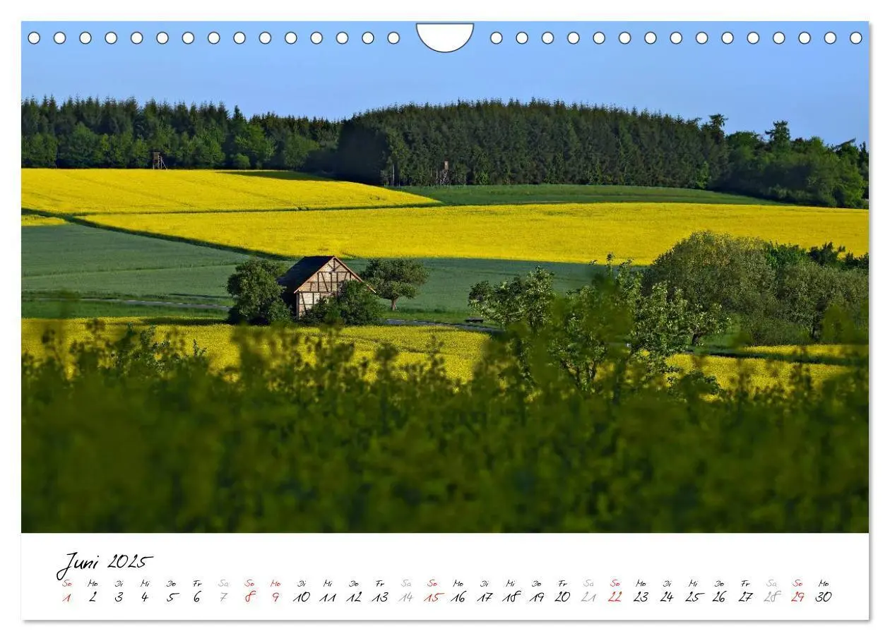 Bild: 9783435750344 | Taunus - Träume (Wandkalender 2025 DIN A4 quer), CALVENDO...