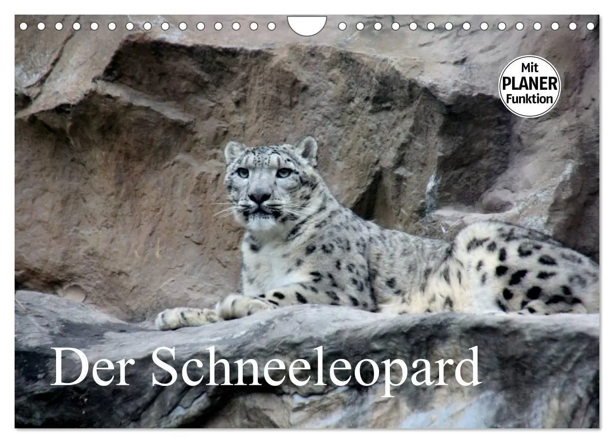 Cover: 9783516000344 | Der Schneeleopard (Wandkalender 2026 DIN A4 quer), CALVENDO...