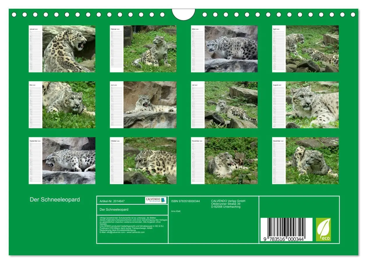 Bild: 9783516000344 | Der Schneeleopard (Wandkalender 2026 DIN A4 quer), CALVENDO...