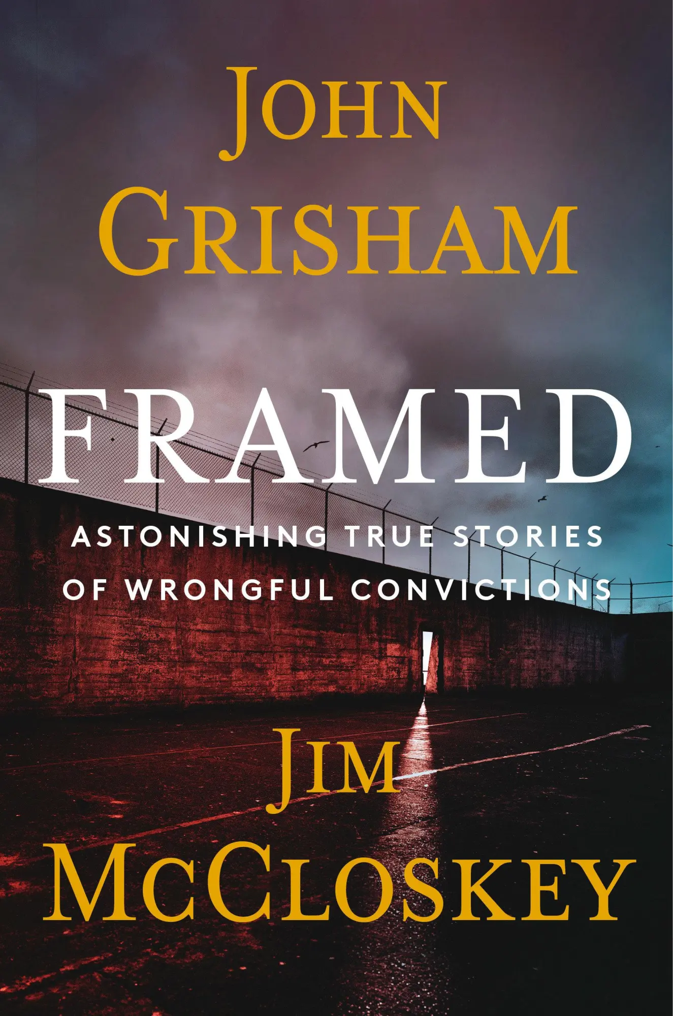 Cover: 9780385550444 | Framed | Astonishing True Stories of Wrongful Convictions | Buch