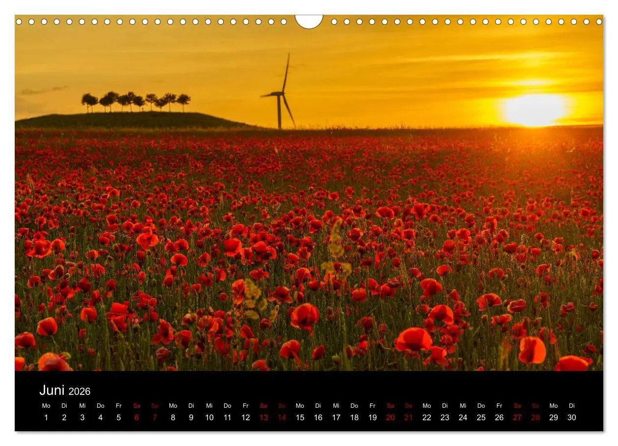 Bild: 9783457900444 | Hannover bei Nacht 2026 (Wandkalender 2026 DIN A3 quer), CALVENDO...