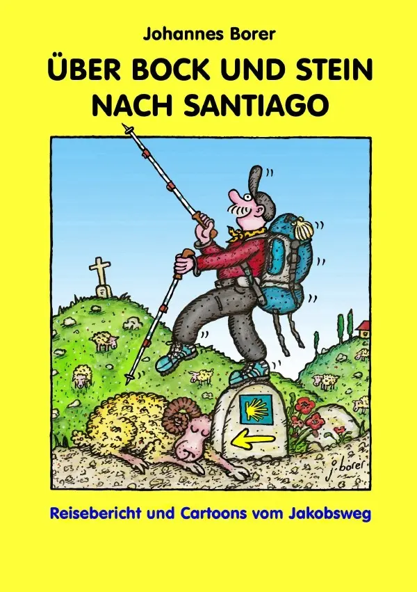 Cover: 9783737540544 | ÜBER BOCK UND STEIN NACH SANTIAGO | Johannes Borer | Taschenbuch