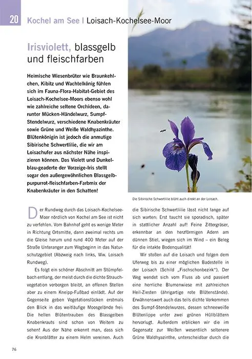 Bild: 9783981460544 | Die schönsten Blüten-Wanderungen in Oberbayern &amp; Tirol 02 | Reimer