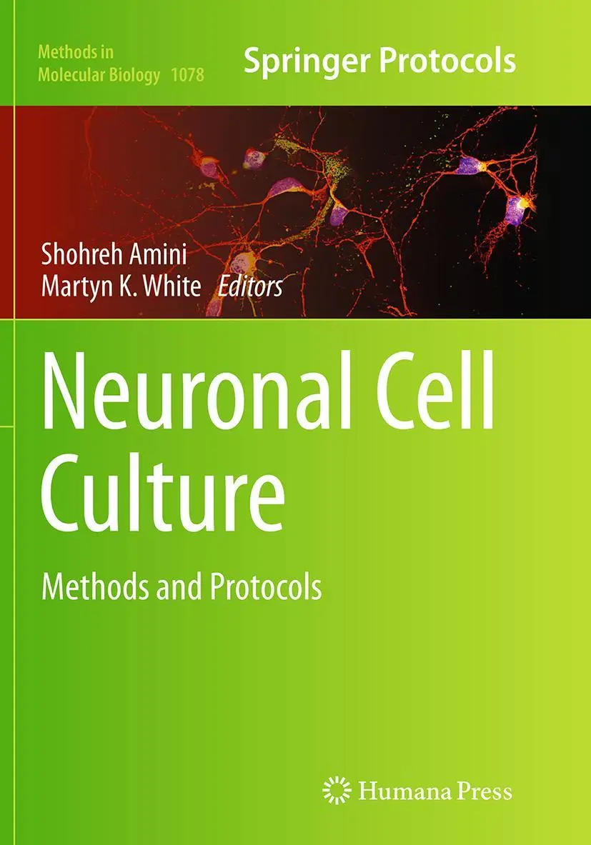 Cover: 9781493960644 | Neuronal Cell Culture | Methods and Protocols | Shohreh Amini (u. a.)