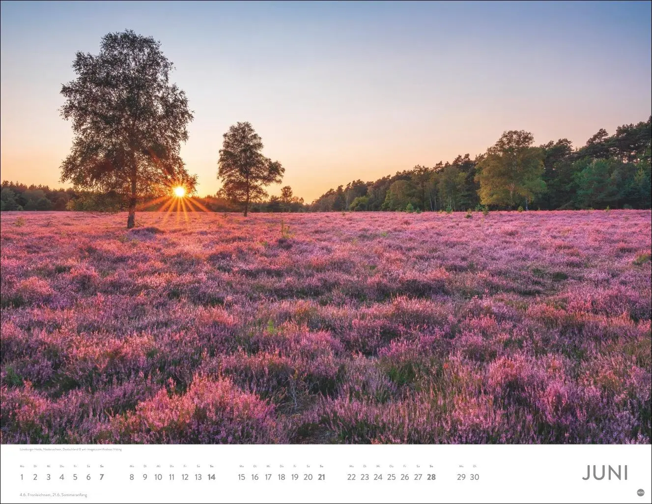 Bild: 9783756410644 | Schönes Deutschland Posterkalender 2026 | Heye | Kalender | 14 S.