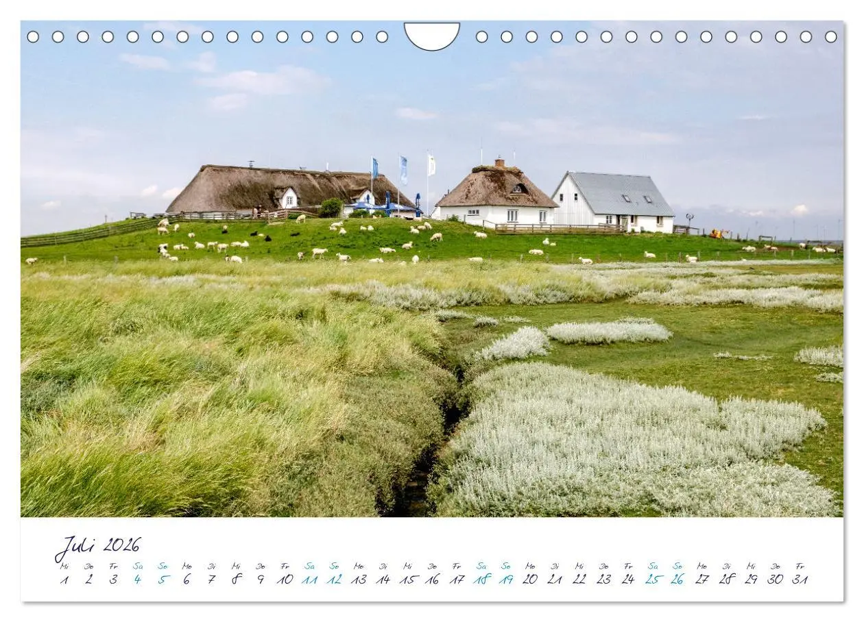 Bild: 9783457350744 | Nordfriesland - weiter Horizont, faszinierende Natur, idyllische...