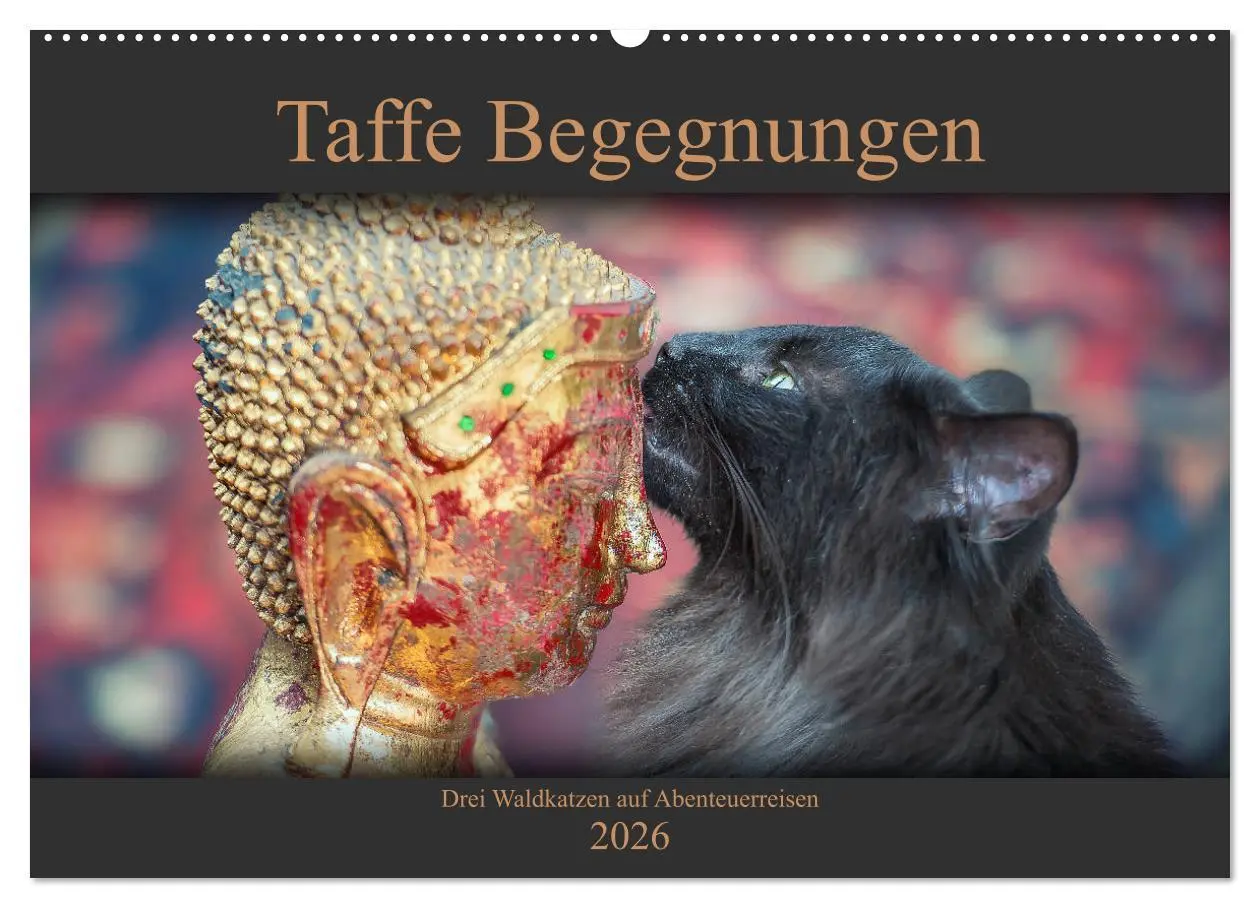 Cover: 9783457970744 | Taffe Begegnungen-Drei Waldkatzen auf Abenteuerreisen (Wandkalender...